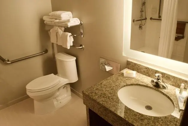 Standard Oda, 1 Büyük (Queen) Boy Yatak, Engellilere Uygun (Mobility, Accessible Tub)