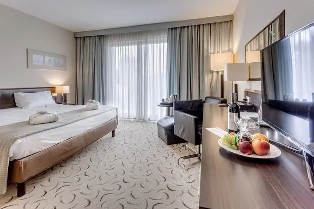 Premium Oda, 1 En Büyük (King) Boy Yatak