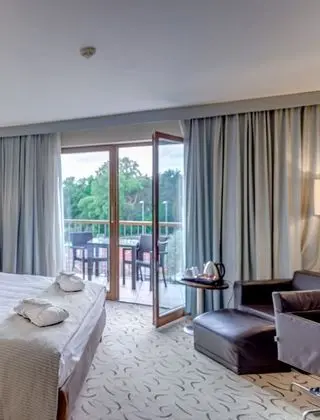 Premium Oda, 1 En Büyük (King) Boy Yatak