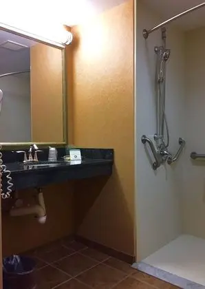 Standard Oda, 2 Büyük (Queen) Boy Yatak, Engellilere Uygun (Communication, Roll-In Shower)