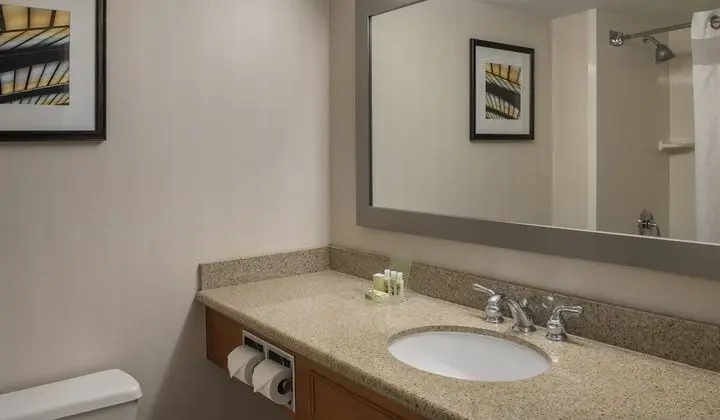 Standard Oda, 1 En Büyük (King) Boy Yatak, Şehir Manzaralı (High Floor)
