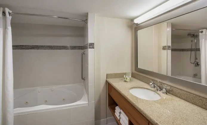 Süit, 1 Yatak Odası, Şehir Manzaralı (1 King Bed, Living/Dining Area)