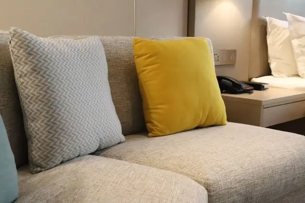 Oda, 1 Yatak Odası, Sigara İçilmez (Living Area)