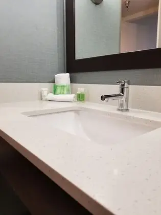 Süit, 1 Yatak Odası, Engellilere Uygun, Sigara İçilmez (Mobility, Transfer Shower)