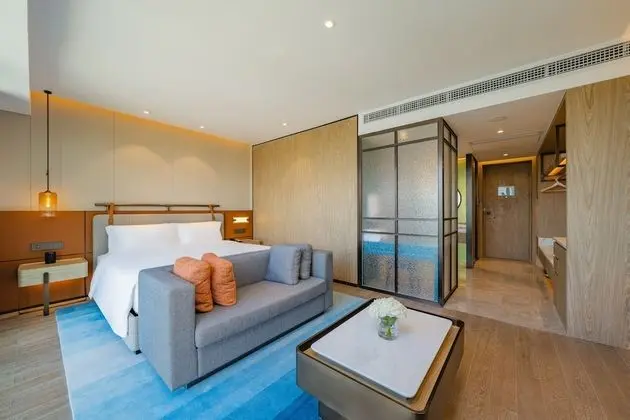 Premium Oda, 1 En Büyük (King) Boy Yatak, Şehir Manzaralı