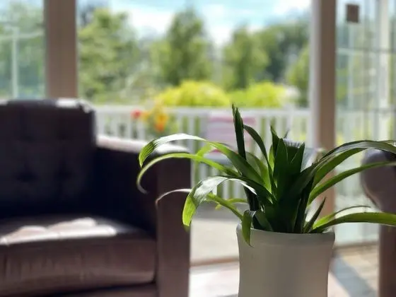 Kulübe, Birden Çok Yatak