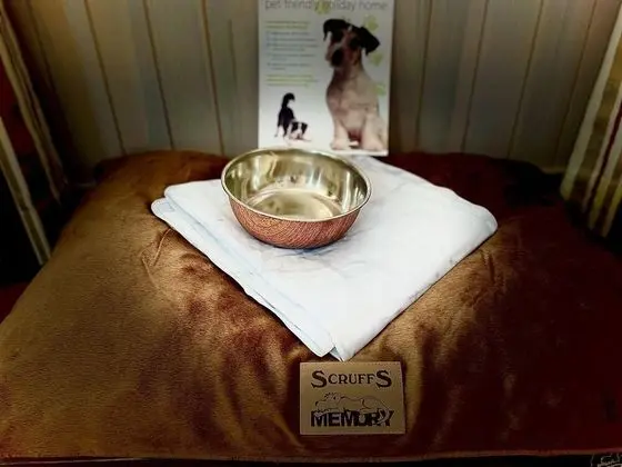 Kulübe, Birden Çok Yatak