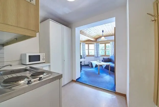 Dağ Evi, Birden Çok Yatak Odası, Dağ Manzaralı (Holiday Lodge)
