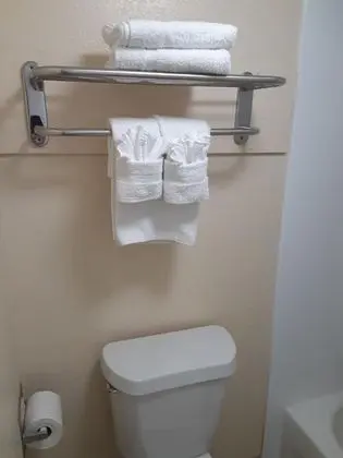 Junior Tek Kişilik Oda, 4 Yatak Odası