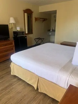 Junior Tek Kişilik Oda, 4 Yatak Odası