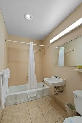 Üç Kişilik Oda (3 Queen Beds)