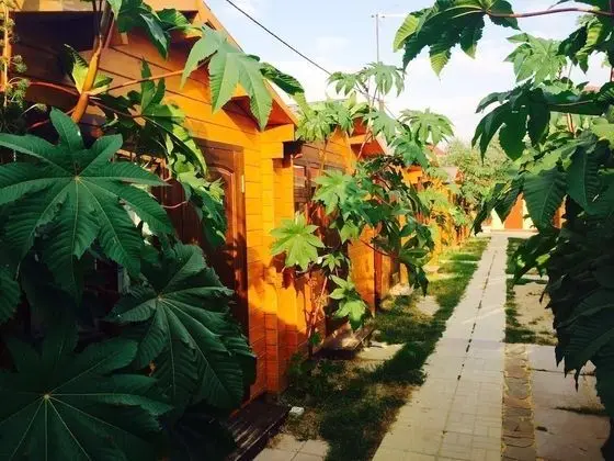 Kır Evi, Ortak Banyo