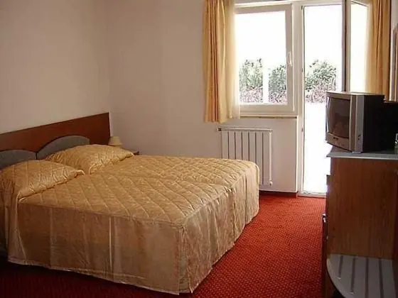 Tek Büyük Yataklı Oda, Balkon, Park Manzaralı