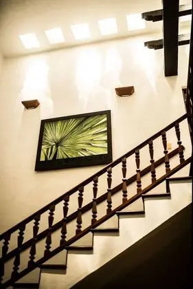 Villa, 6 Yatak Odası, Sıcak Su Havuzu