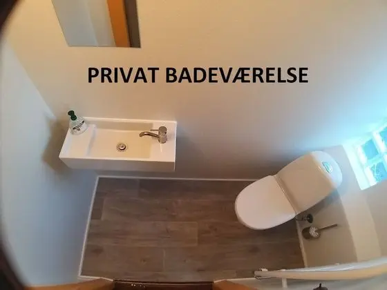 Standard Tek Büyük Yataklı Oda (2)