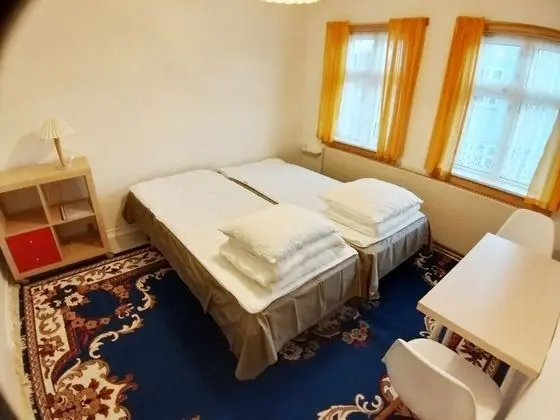 Standard Tek Büyük Yataklı Oda (3)