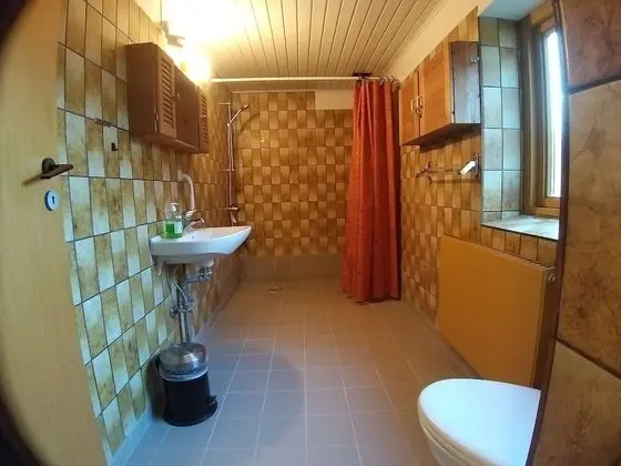 Standard Tek Büyük Yataklı Oda (3)