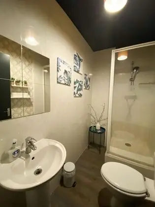 Deluxe Stüdyo, Banyolu/Duşlu (Quad )