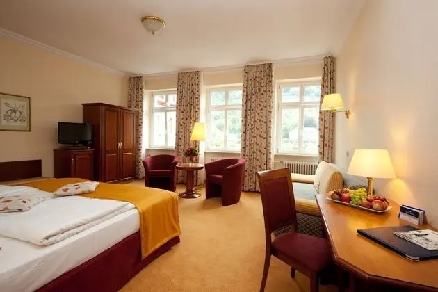 Superior Tek Büyük Yataklı Oda