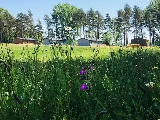 Luxury Apart Daire, Banyolu/Duşlu