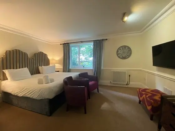 Superior Tek Büyük Yataklı Oda