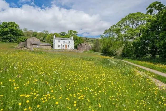 Deluxe Kır Evi, Banyolu/Duşlu