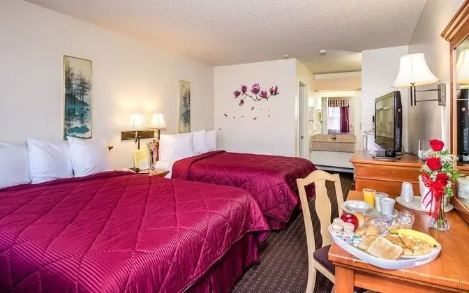 Standard Tek Büyük Yataklı Oda, 2 Büyük (Queen) Boy Yatak