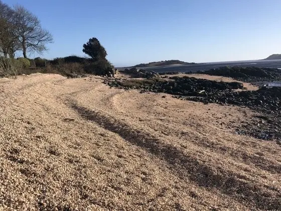 Kır Evi, Birden Çok Yatak