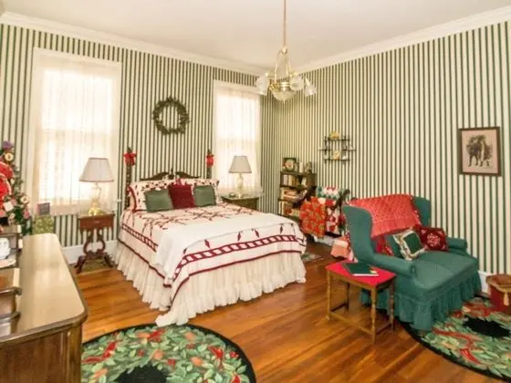 Tek Büyük Yataklı Oda, Banyolu/Duşlu (Holly Room)