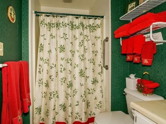Tek Büyük Yataklı Oda, Banyolu/Duşlu (Holly Room)