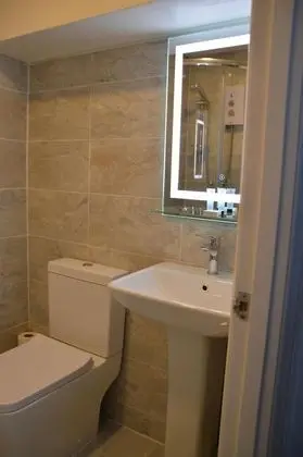 Deluxe Tek Büyük Yataklı Oda, Banyolu/Duşlu, Şehir Manzaralı (with Shower)