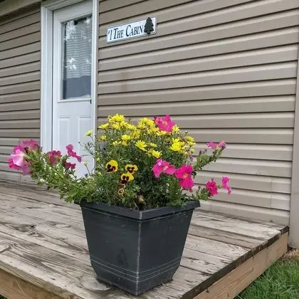 Kır Evi (2-bed lakeview cottage)