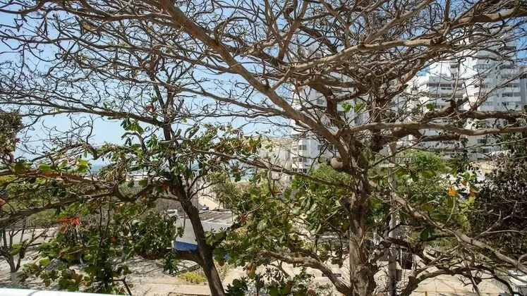 Deluxe Stüdyo Süit, Kısmi Deniz Manzarası