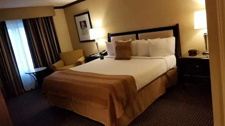 Standard Oda, 1 En Büyük (King) Boy Yatak (1 King Bed)