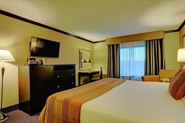 Standard Oda, 1 En Büyük (King) Boy Yatak (1 King Bed)