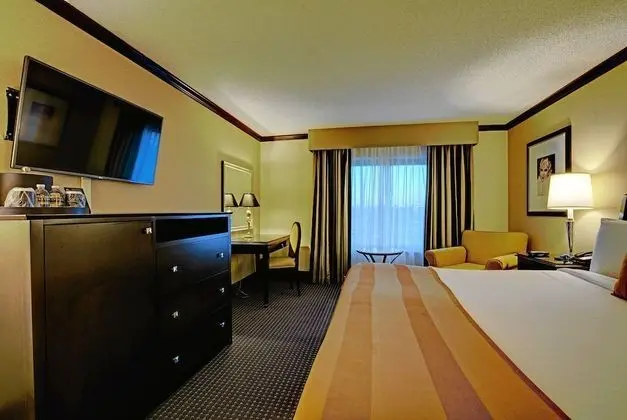 Standard Oda, 1 En Büyük (King) Boy Yatak (1 King Bed)