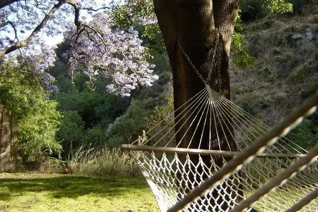Ev, Birden Çok Yatak (Hollywood Hills  "Canyon Breezes" ! -)