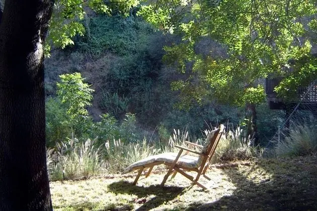 Ev, Birden Çok Yatak (Hollywood Hills  "Canyon Breezes" ! -)