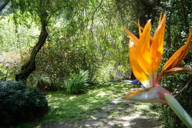 Ev, Birden Çok Yatak (Hollywood Hills  "Canyon Breezes" ! -)