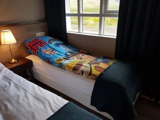 Deluxe Tek Büyük veya İki Ayrı Yataklı Oda, Özel Banyo