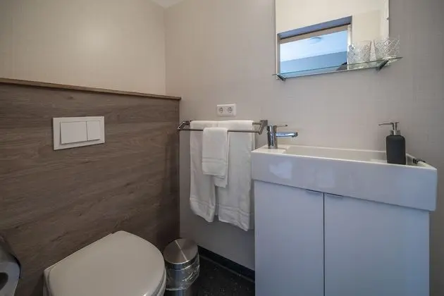 Deluxe Tek Büyük veya İki Ayrı Yataklı Oda, Özel Banyo