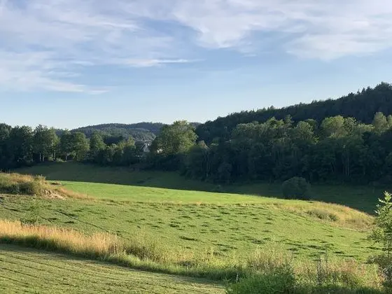 Basic Tek Büyük Yataklı Oda