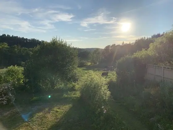 Basic Tek Kişilik Oda