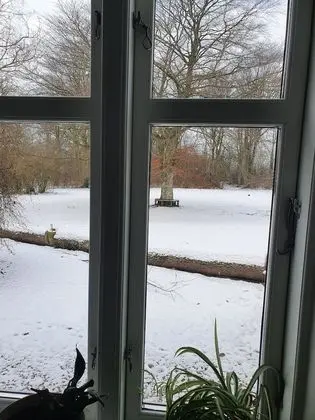 Tek Kişilik Oda, Ortak Banyo