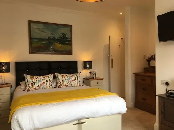 Tek Büyük veya İki Ayrı Yataklı Oda (King or twin room)