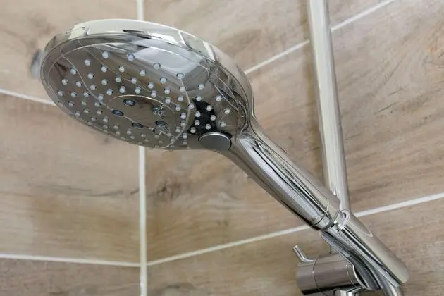 Deluxe Çatı Katı Süiti (Penthouse), Bahçe Manzaralı