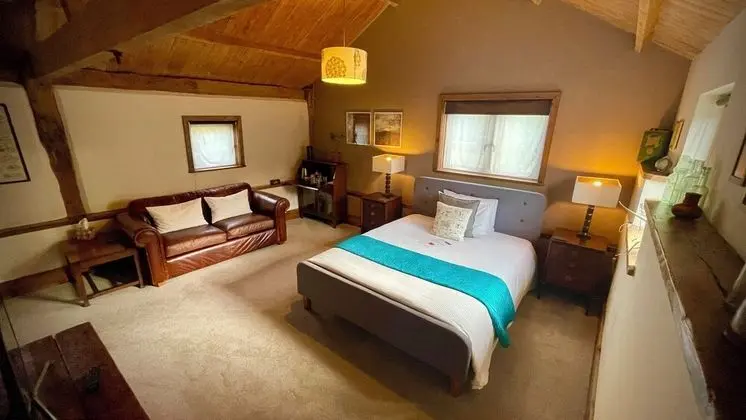 Deluxe Tek Büyük Yataklı Oda (King Room)