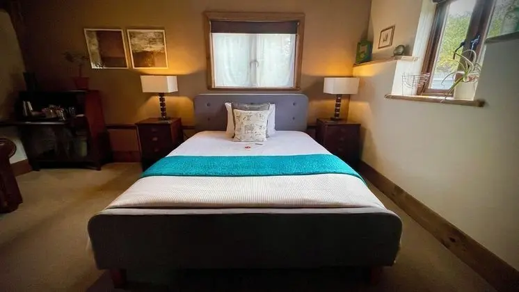 Deluxe Tek Büyük Yataklı Oda (King Room)