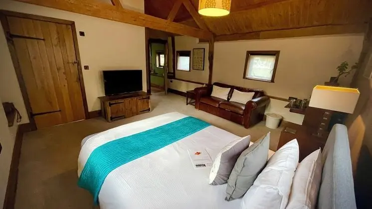 Deluxe Tek Büyük Yataklı Oda (King Room)