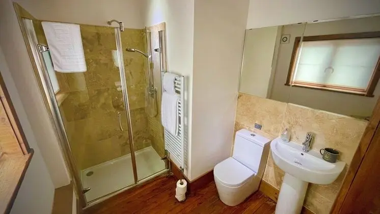 Deluxe Tek Büyük Yataklı Oda (King Room)